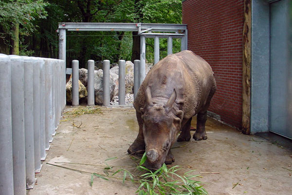 Motorisations sur mesure pour portails d’un enclos de rhinocéros dans un zoo néerlandais